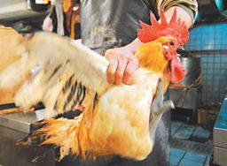 专家称H7N9人传人可能性低，活禽市场是感染源头