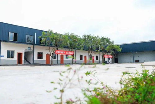 梁平首家自动化家禽屠宰厂正式投用，助力生鲜水产品市场升级