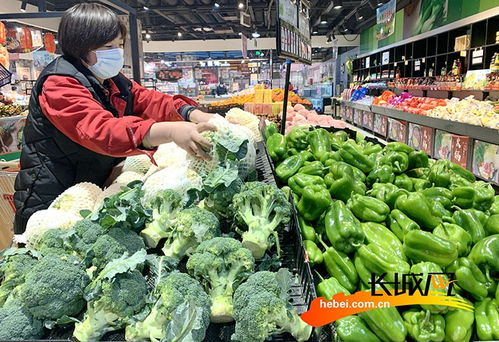 河北出台若干措施加快推进企业复工复产，保障活禽市场稳定供应