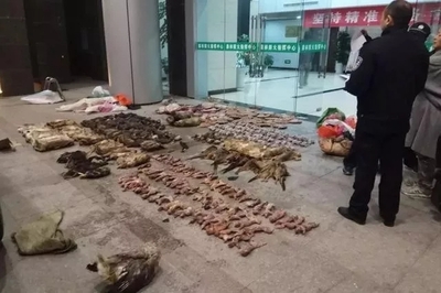 疫情下的紧急行动 各地叫停野生动物交易，生鲜水产品市场迎来新规范