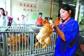 上海热线hot新闻 | 禽类消费人气未复，活禽交易仍待春